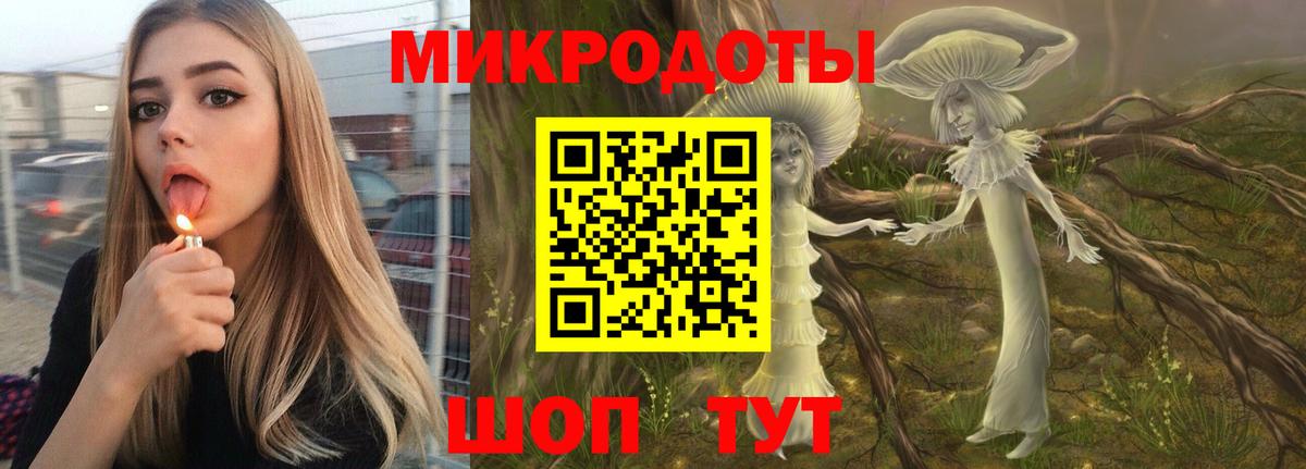 Галлюциногенные грибы Magic Shrooms Карталы